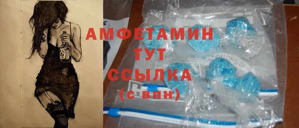 стаф Белокуриха