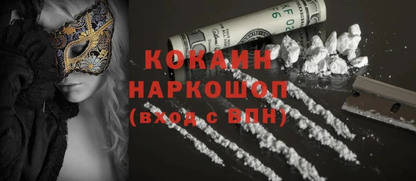 стаф Белокуриха