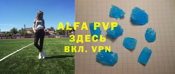стаф Белокуриха