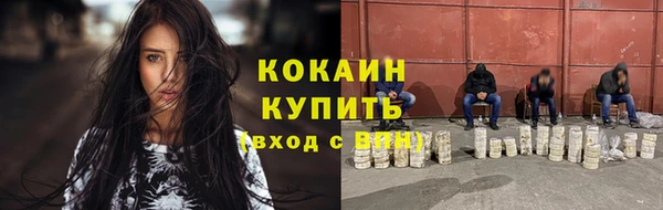стаф Белокуриха