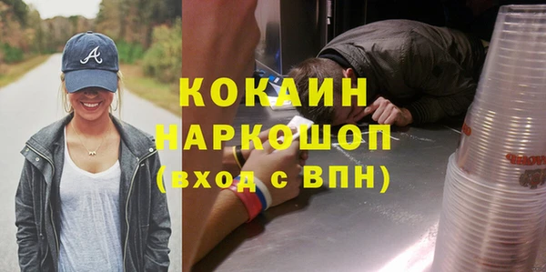 стаф Белокуриха