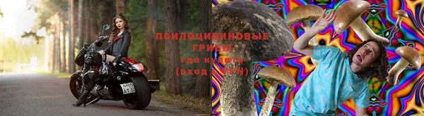 стаф Белокуриха