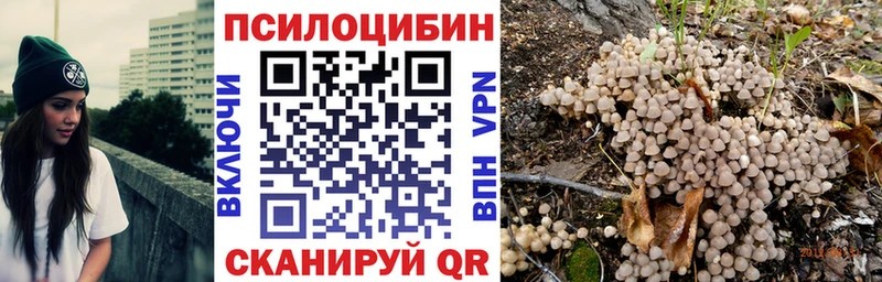 Псилоцибиновые грибы Psilocybine cubensis  закладки  Сланцы 