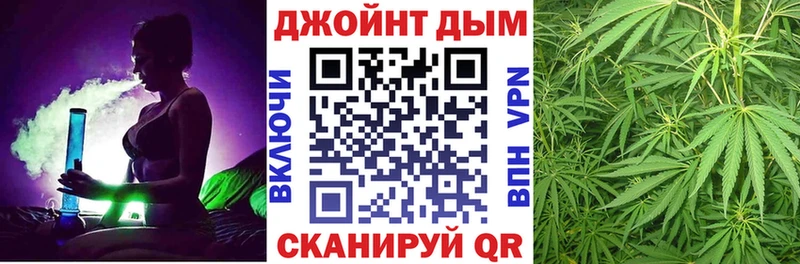где можно купить   Сланцы  Канабис сатива 